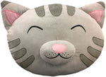 Big Bang Theory Soft Kitty Pillow