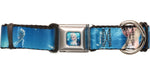 Frozen Anna Elsa Poses Pet Collar
