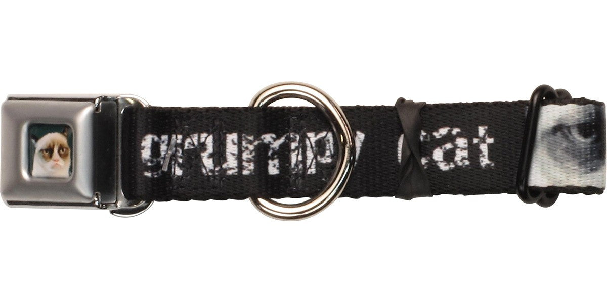 Grumpy Cat Distressed Name Pet Collar