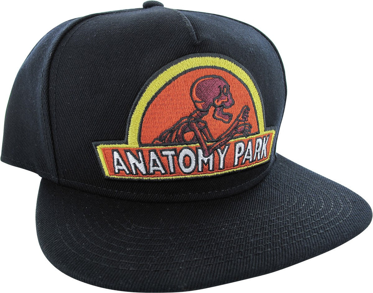 Rick and Morty Anatomy Park Snapback Hat
