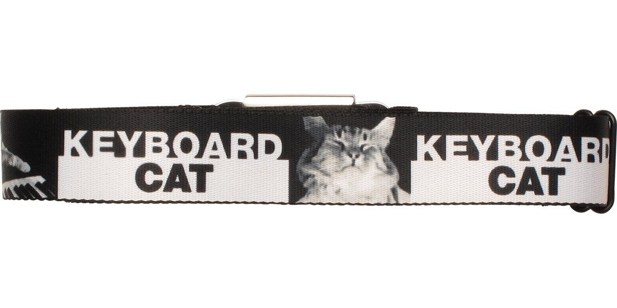 Keyboard Cat Name Black and White Seatbelt Mesh Belt