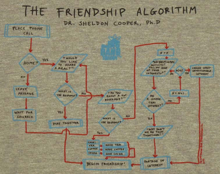 Big Bang Theory Friendship Algorithm Hoodie