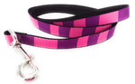 Alice in Wonderland Cheshire Cat Stripes Pet Leash