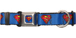 Superman Classic Logo Pet Collar