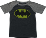 Batman Distressed Emblem Raglan Youth T-Shirt