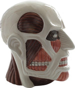 Attack on Titan Colossal Head Molded Coin Bank