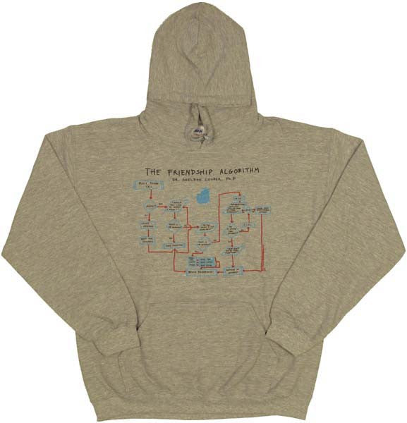 Big Bang Theory Friendship Algorithm Hoodie