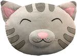 Big Bang Theory Soft Kitty Pillow