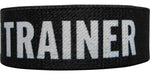 Pokemon Trainer Elastic Wristband