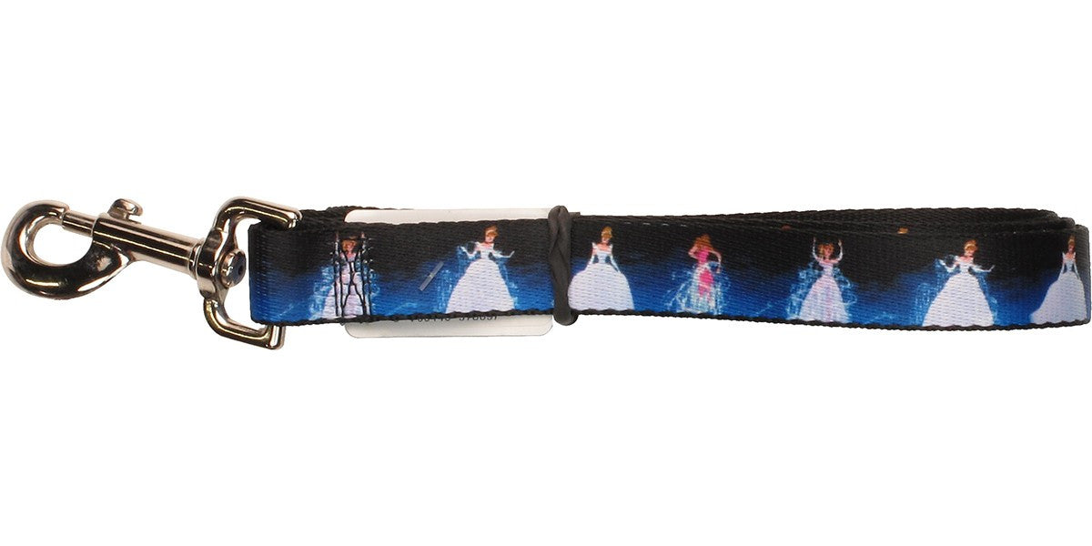 Cinderella Dress Transformation Pet Leash