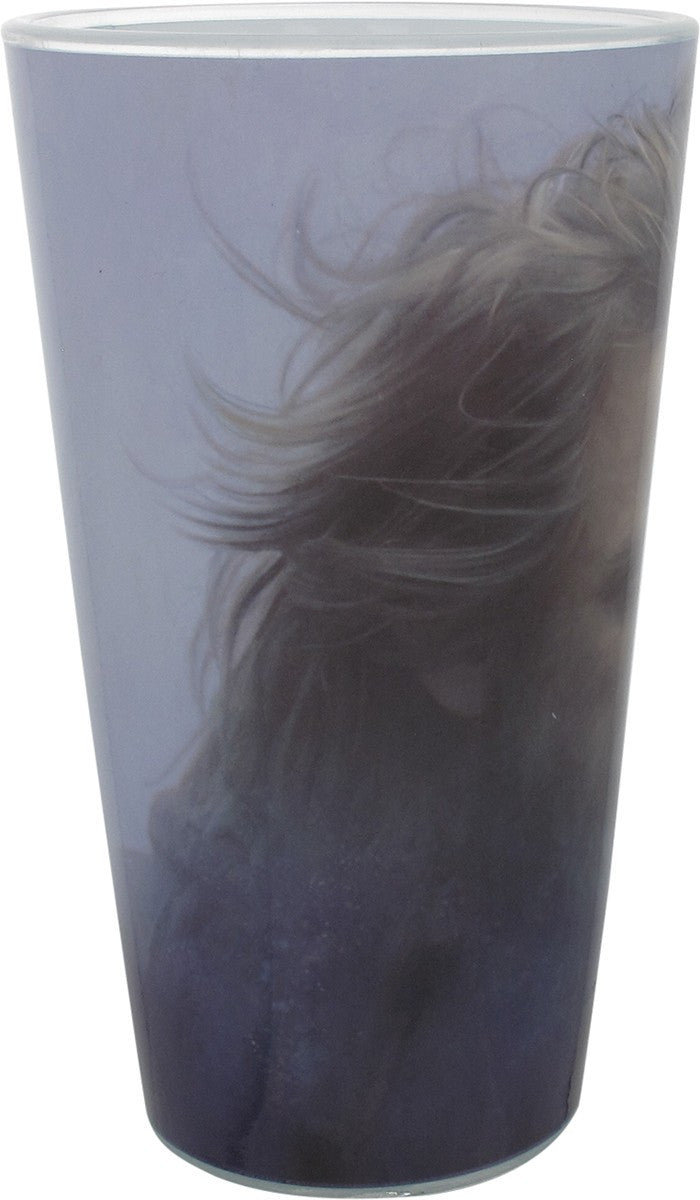 Star Wars Force Awakens Rey Luke Pint Glass Set