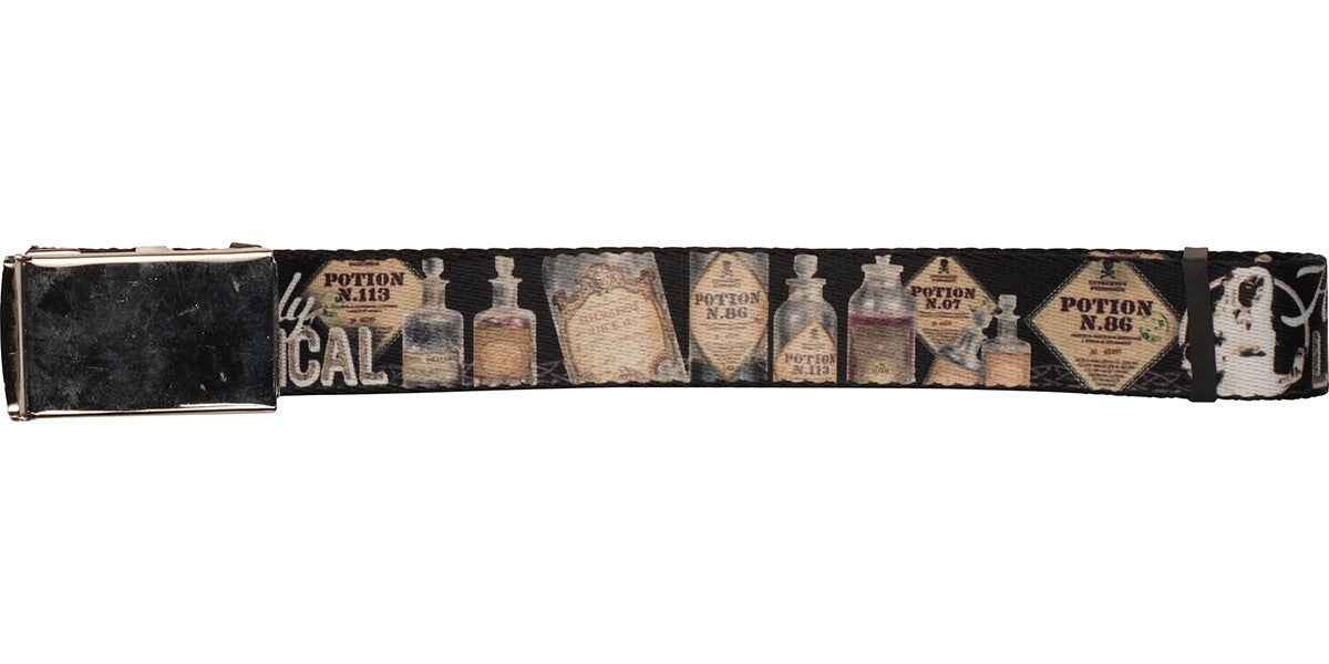 Harry Potter Highly Logical Chrome Mesh Belt