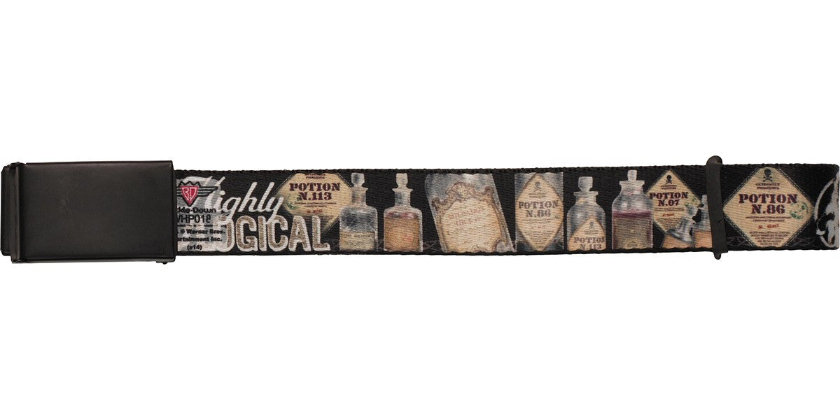 Harry Potter Highly Logical Mesh Belt