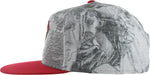 Superman Logo Crown Dye Snapback Youth Hat