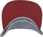 Wonder Woman Velvet Portrait Snapback Hat