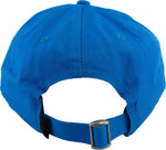 Zelda Breath of the Wild Travelers Shield Logo Hat