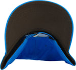 Zelda Breath of the Wild Travelers Shield Logo Hat