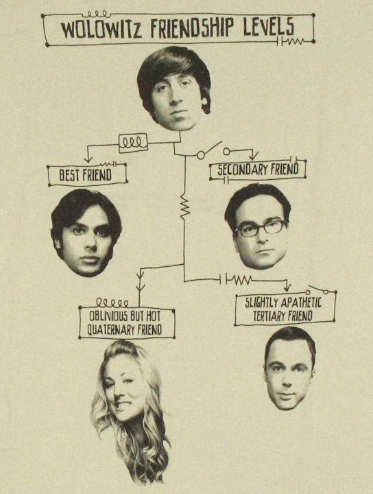 Big Bang Theory Friendship Levels Baby Tee