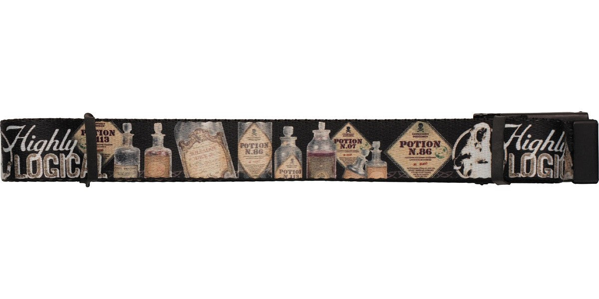 Harry Potter Highly Logical Mesh Belt