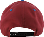 Spiderman Spider Logo and Name Snapback Hat