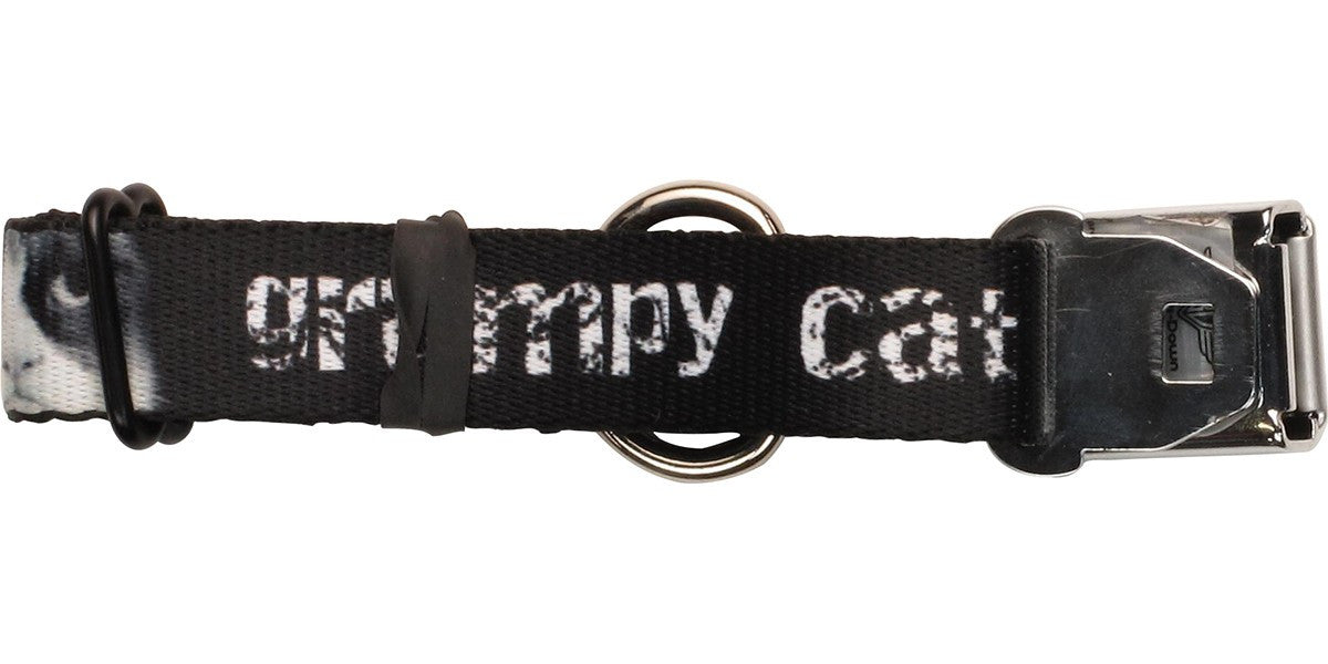 Grumpy Cat Distressed Name Pet Collar