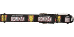 Iron Man Invincible Classic Pet Collar