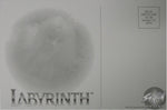 Labyrinth Fairy Postcard