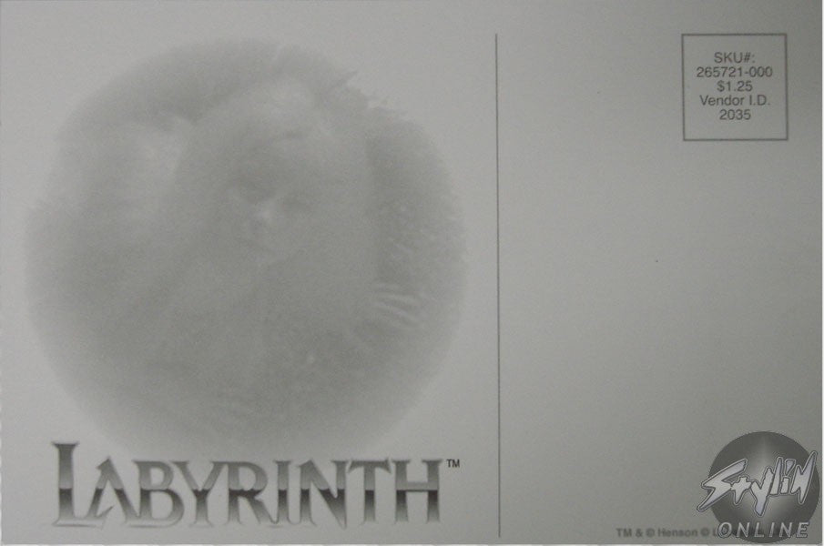 Labyrinth Fairy Postcard