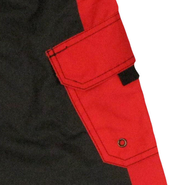 Angry Birds Poster Shorts