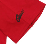 Robin Classic Symbol T Shirt