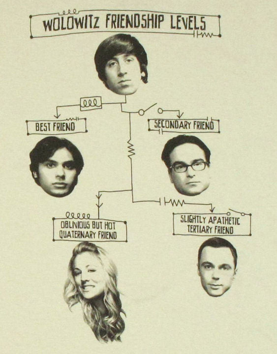 Big Bang Theory Friendship Levels T Shirt