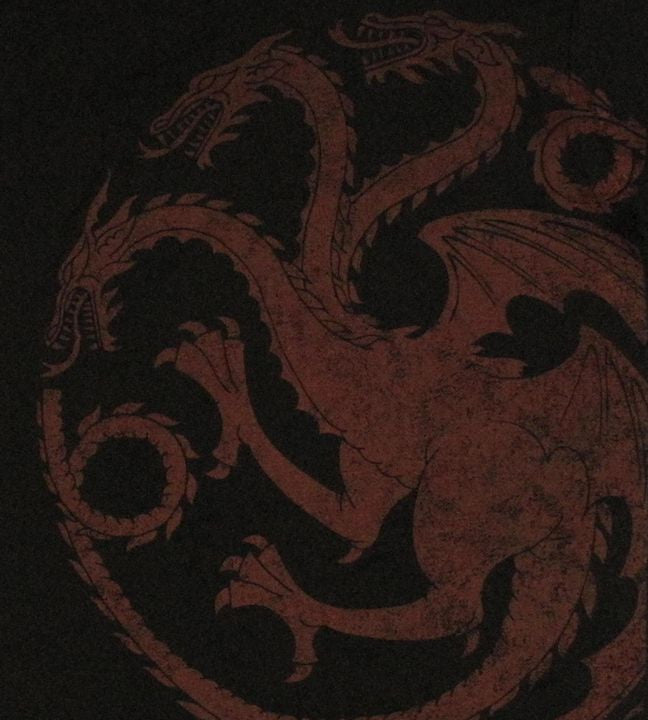Game of Thrones Targaryen Vintage T Shirt Sheer