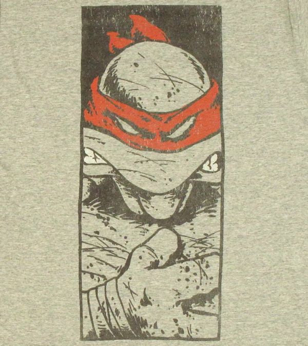 Ninja Turtles Raphael Panel T Shirt Sheer