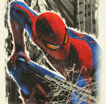 Amazing Spiderman Perch T Shirt