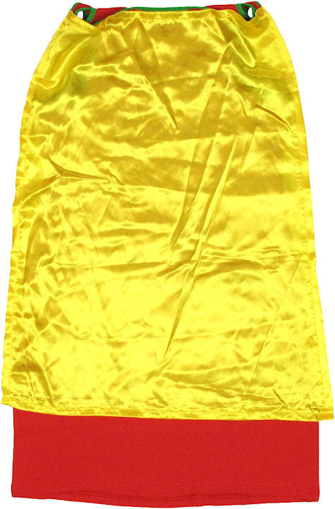 Robin Costume Tank Top Dress