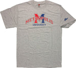 Superman Metropolis Logo T-Shirt