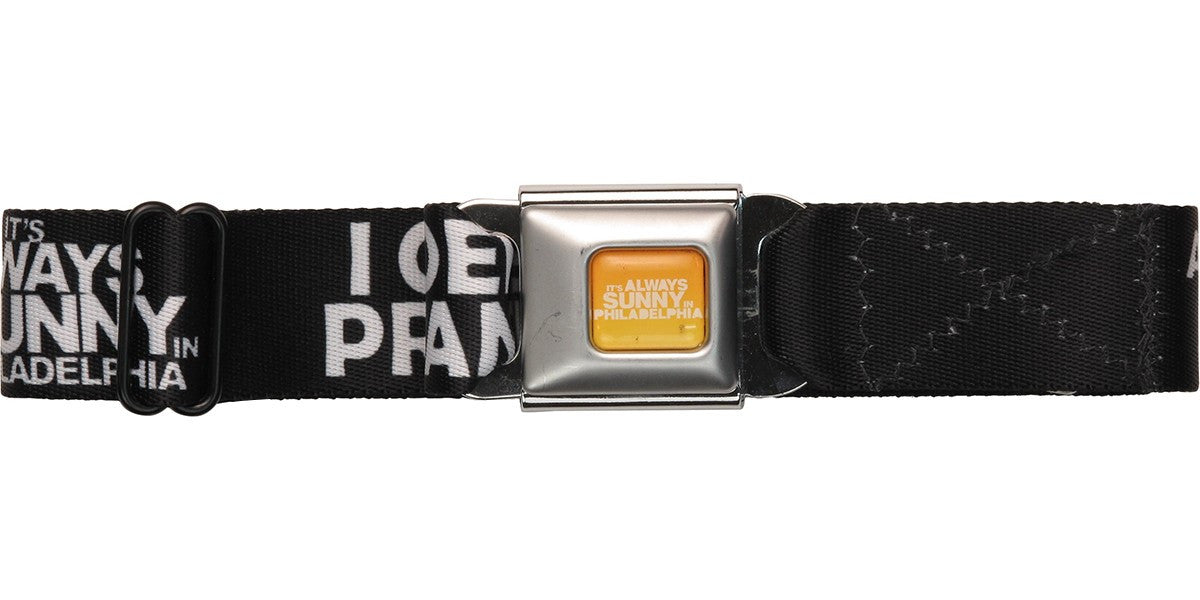 Its Always Sunny in Philadelphia I Got Dee Pregnant Seatbelt Mesh Belt
