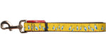 Looney Tunes Tweety Bird Faces Pet Leash