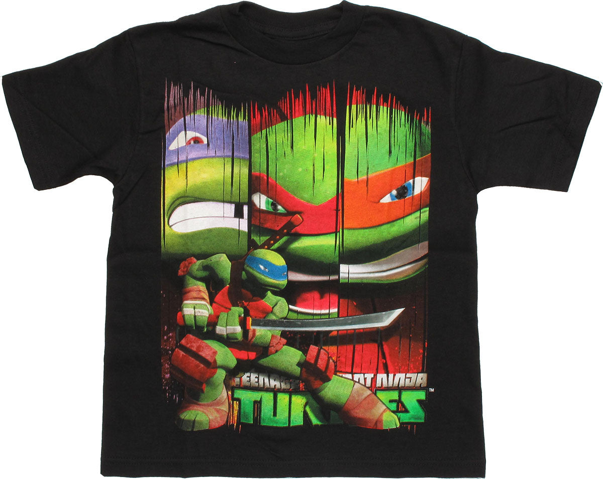 Ninja Turtles Leonardo Banners Juvenile T Shirt