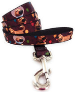 Up Dug Wrap 4 Foot Pet Leash