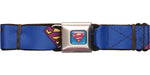 Superman Bizarro Logo Seatbelt Belt