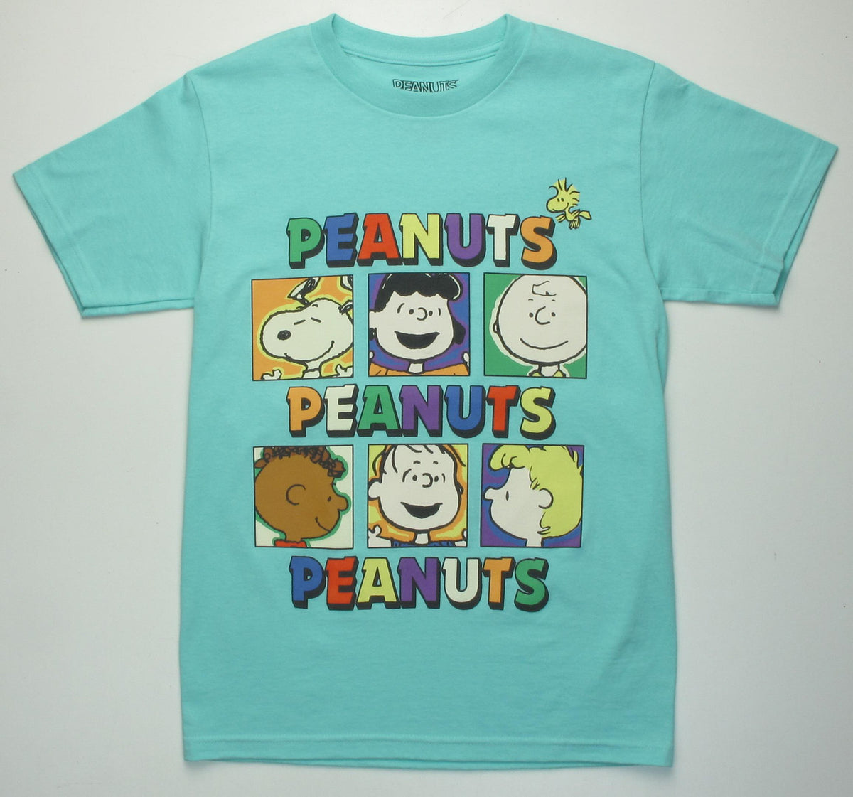 Peanuts Snoopy and Friends Mint T-Shirt