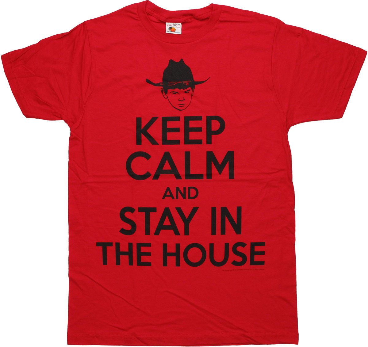 Walking Dead Keep Calm Stay In House T Shirt Sheer